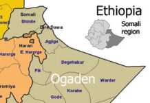 Ethiopia: Six more NGOs to operate in Somali region Ethiopia: Six more NGOs to operate in Somali region