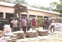 DRC: Poor harvest threatens food security, transport problems close feeding centre DRC: Poor harvest threatens food security, transport problems close feeding centre