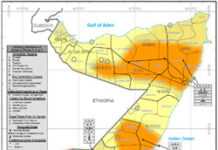 New improved disaster response tool Somalia situation analysis