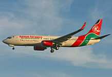Kenya Airways : Human error behind the Douala Crash Kenya Airways : Human error behind the Douala Crash