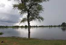 Zimbabwe: Country braces for another round of flooding Zimbabwe: Country braces for another round of flooding