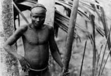 Bushmen’s letter Bushmen’s letter