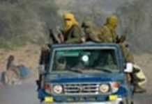 Chad: Government forces claim Victory Chad: Government forces claim Victory