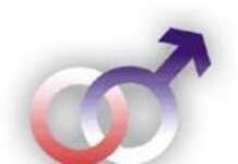 Sexuality: Young Africans demand fundamental human rights Sexuality: Young Africans demand fundamental human rights