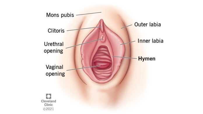 Hymen