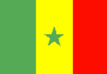 Senegal : Police arrest 24 and raid tv station Senegal : Police arrest 24 and raid tv station