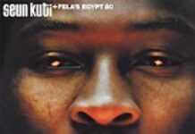 Seun Kuti follows Fela’s steps Seun Kuti follows Fela’s steps