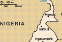 Cameroonian journalists receive two suspicious police summons Cameroonian journalists receive two suspicious police summons