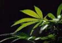 Negative police drug test results anger pupils Negative police drug test results anger pupils