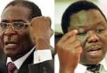 Zimbabwe presidential run-off to be cancelled Zimbabwe presidential run-off to be cancelled