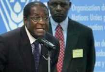 Mugabe to attack other undemocratic governments Mugabe to attack other undemocratic governments