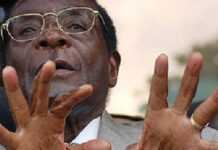 Mugabe attacked by three men in Sharm El Sheikh as he walks out of conference Mugabe attacked by three men in Sharm El Sheikh as he walks out of conference