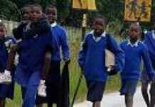 Non Zanu-pf school children being flushed out educational system Non Zanu-pf school children being flushed out educational system