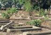 Desperate grave looters now stealing coffins Desperate grave looters now stealing coffins