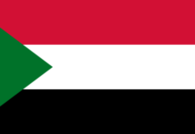 Positive reactions to Al-Bashir’s possible prosecution sudan_flag.png