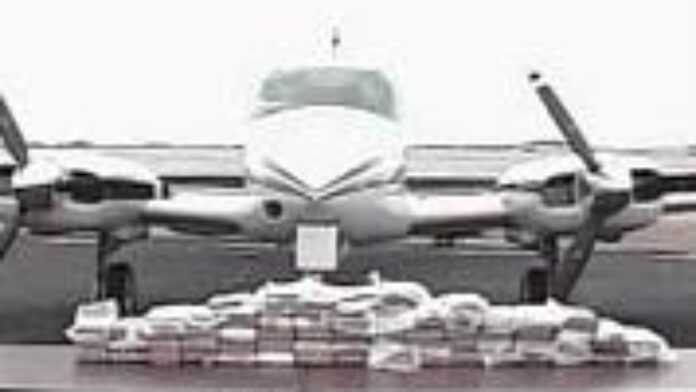 arton14209 arton14209