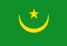Ousted Mauritanian President was coup leader’s puppet … Ousted Mauritanian President was coup leader’s puppet …