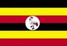 Food Crisis in Northern Uganda Food Crisis in Northern Uganda