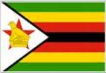 Zimbabweans get a new lease on life as duty waiver makes food cheaper Zimbabweans get a new lease on life as duty waiver makes food cheaper