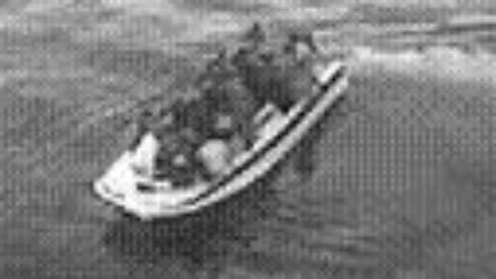 arton14398 arton14398