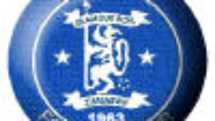 arton14486 arton14486