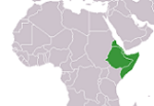 Ethiopia concerned about butchering of civilians in Somalia Ethiopia concerned about butchering of civilians in Somalia