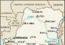 UN forces in fire for fire attacks against tutsi rebels in DRC UN forces in fire for fire attacks against tutsi rebels in DRC