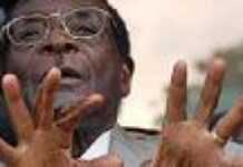 Mugabe accused of stealing international group’s money Mugabe accused of stealing international group’s money