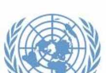 United Nations names special economic task force United Nations names special economic task force
