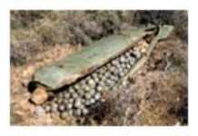 Vulnerable populations relieved from cluster bombs Vulnerable populations relieved from cluster bombs