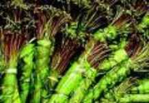 A Khat fight in Ethiopia and the United Kingdom A Khat fight in Ethiopia and the United Kingdom