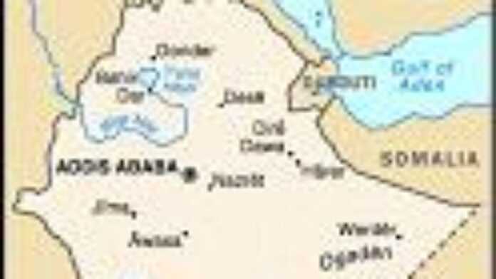 arton15145