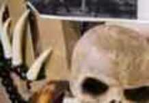 Man spared death sentence for strong witchcraft beliefs Man spared death sentence for strong witchcraft beliefs