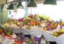 Meles Zenawi optimistic about Ethiopian flower industry Meles Zenawi optimistic about Ethiopian flower industry