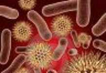 Swine flu: Africa spared from A/H1N1? Swine flu: Africa spared from A/H1N1?