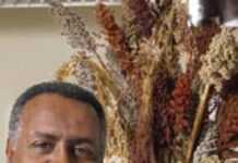 Top Ethiopian food scientist to be awarded World Food Prize Top Ethiopian food scientist to be awarded World Food Prize
