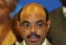 Ethiopian PM underlines biofuels as crucial for combating climate change Ethiopian PM underlines biofuels as crucial for combating climate change