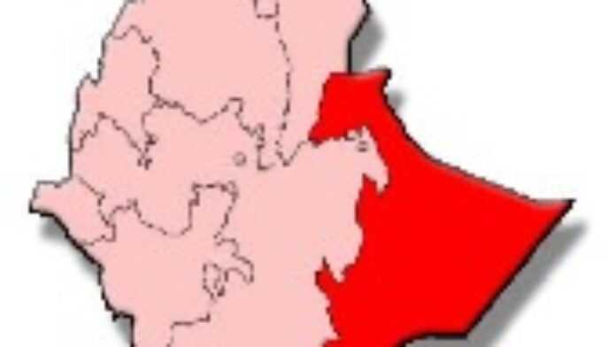 arton15935 arton15935