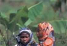 Tanzania: First Women’s Bank begins operations Tanzania: First Women’s Bank begins operations