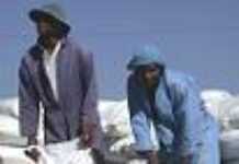 Zimbabwe still neck-deep in crisis Zimbabwe still neck-deep in crisis