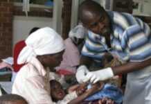 Zimbabwe: Hundreds of public sector doctors sacked as swine flu hits Zimbabwe: Hundreds of public sector doctors sacked as swine flu hits