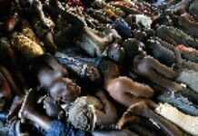 Zimbabwe: Mugabe’s prisoner amnesty questioned Zimbabwe: Mugabe’s prisoner amnesty questioned