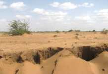 East African crisis: Cold feet from the West and an unrelenting weather East African crisis: Cold feet from the West and an unrelenting weather