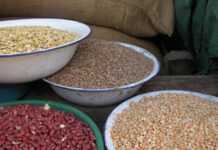 Food could become scarce by 2050 Food could become scarce by 2050