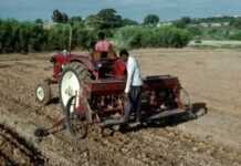 Land grabs in Africa: “The stakes are huge” Land grabs in Africa: “The stakes are huge”