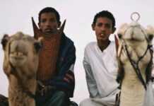 Terrorism and Africa: Blood in the Sand Terrorism and Africa: Blood in the Sand