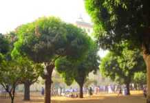 Tabaski Redux jpg_1-2.jpg