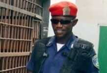 Police and private security in Africa and dangerous partnerships Police and private security in Africa and dangerous partnerships