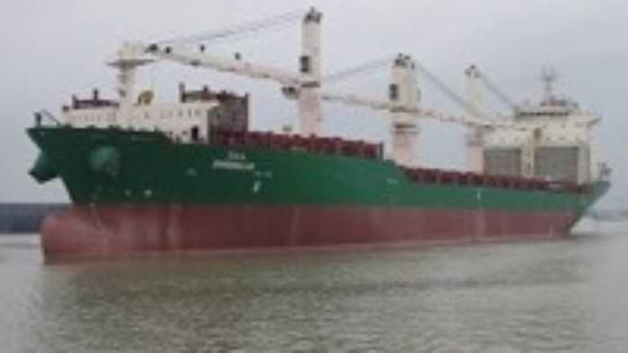 arton16993 arton16993