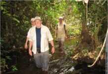 The importance of African Rain Forests to the world The importance of African Rain Forests to the world